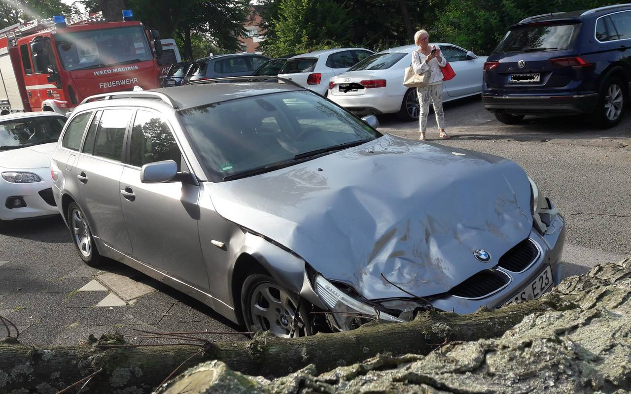Umgestürzter Baum BMW