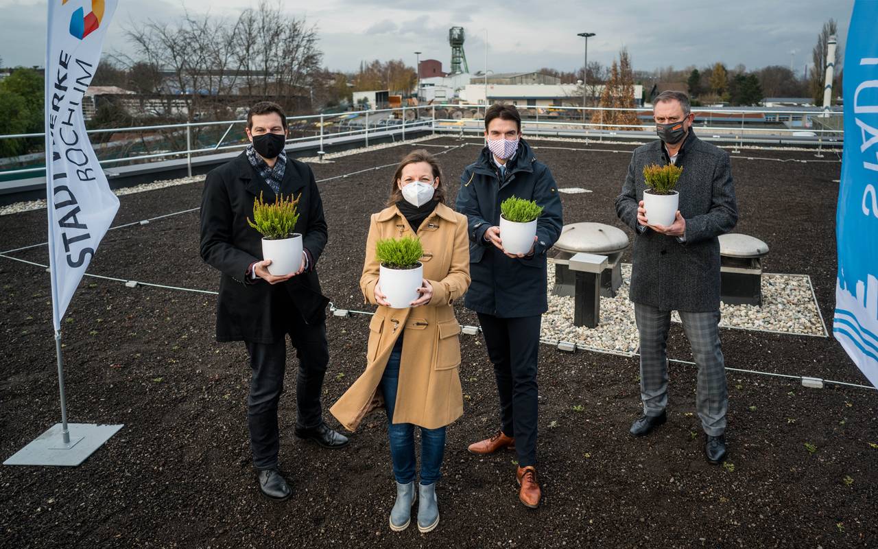 Die Stadtwerke Bochum begrünen ein 3.000 Quadratmeter großes Dach