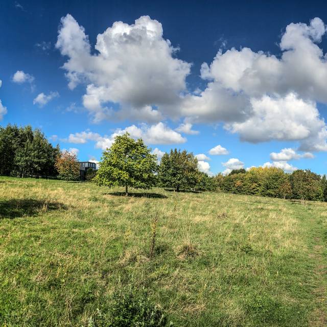 Naturschutzgebiet Auf dem Kalwes in Bochum