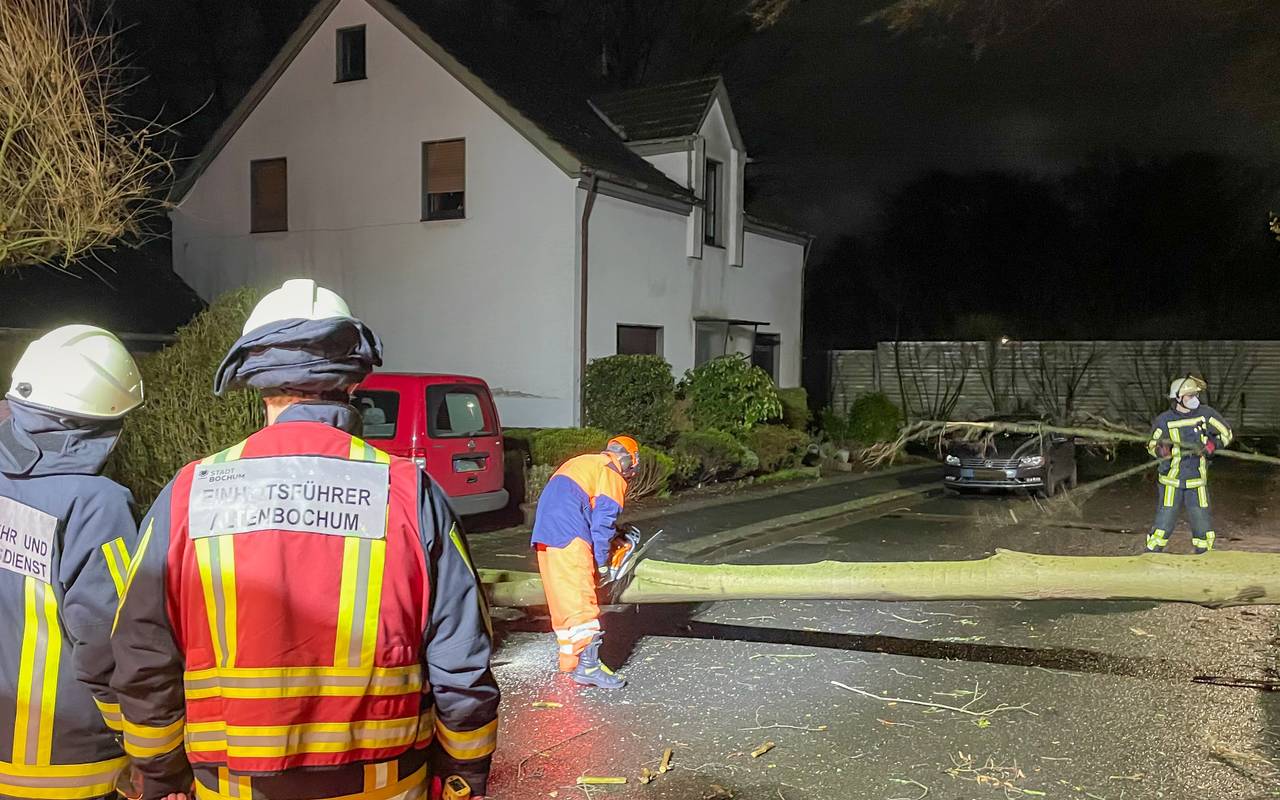 Sturmtief Xandra weht in Bochum Bäume um
