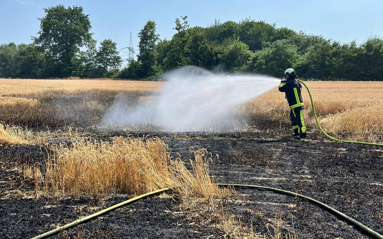 Brand Getreidefeld Bochum-Langendreer