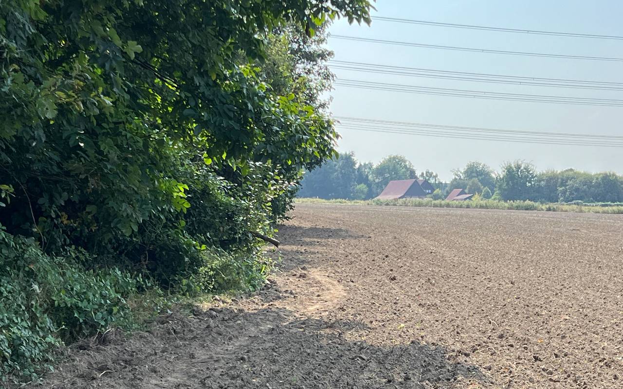 Dort wo eigentlich der Blühstreifen für Wildpflanzen und -tiere blühen sollte, verlaufen Trampelpfade durch Fuß- und Spaziergänger:innen.