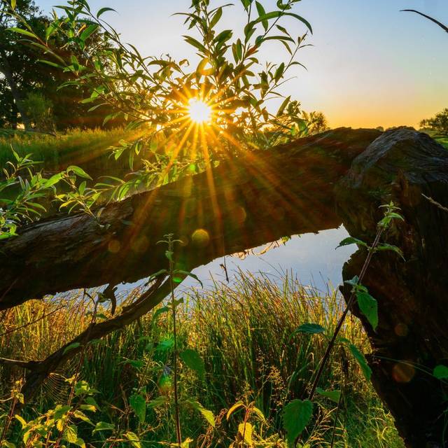 Sonnenaufgang am Fluss Oder