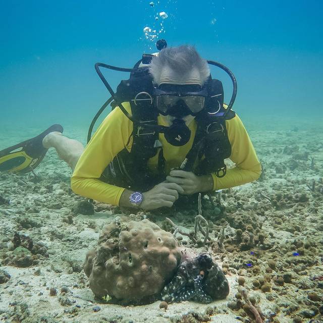 TV-Ausblick ZDF - Hannes Jaenicke: Im Einsatz für den Oktopus