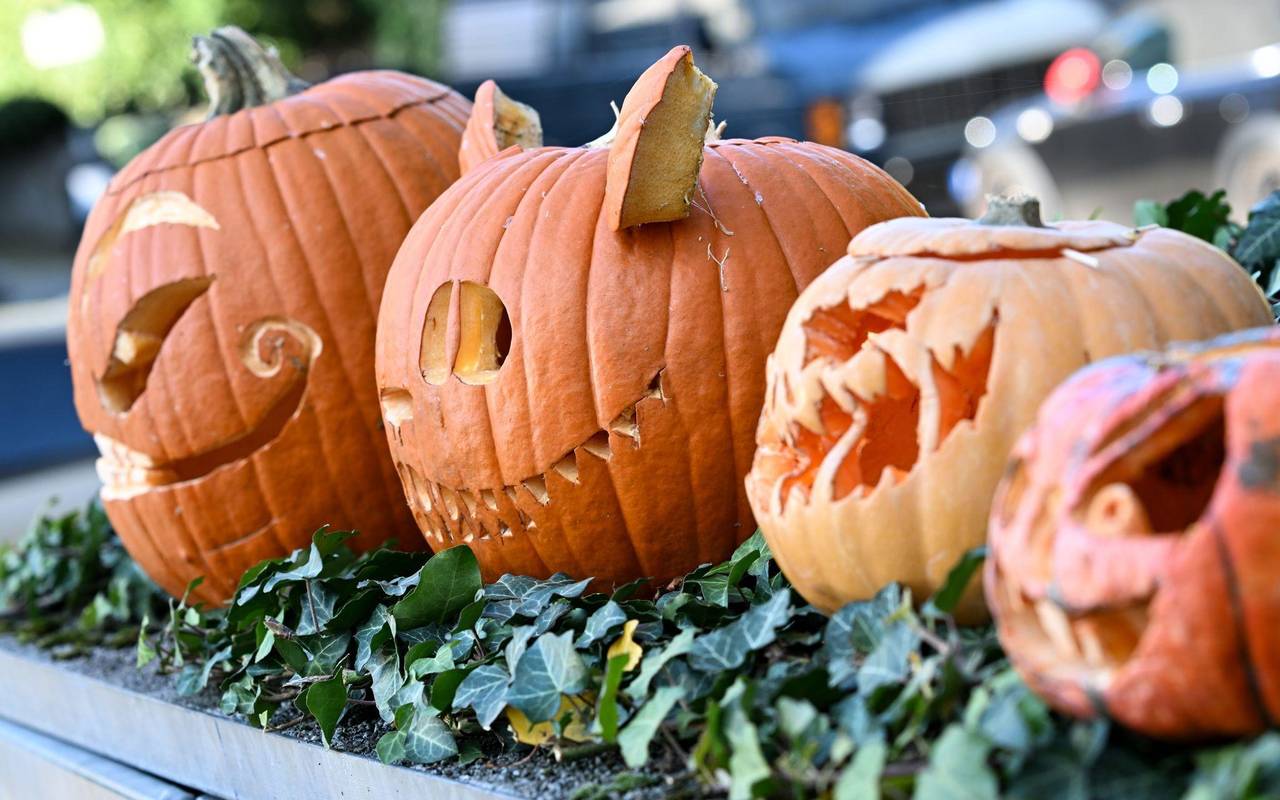 Halloween-Kürbisse