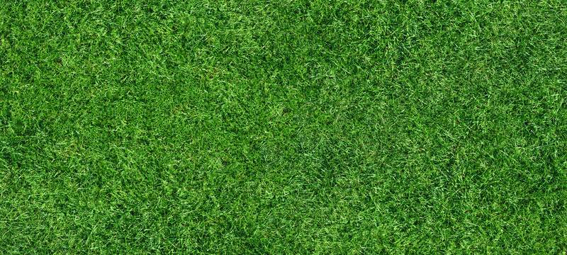 Bochumer Grüne veröffentlichen Perspektivpapier