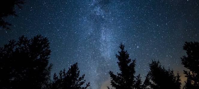 Ruhr-Universität Bochum: Studie zur Lichtverschmutzung