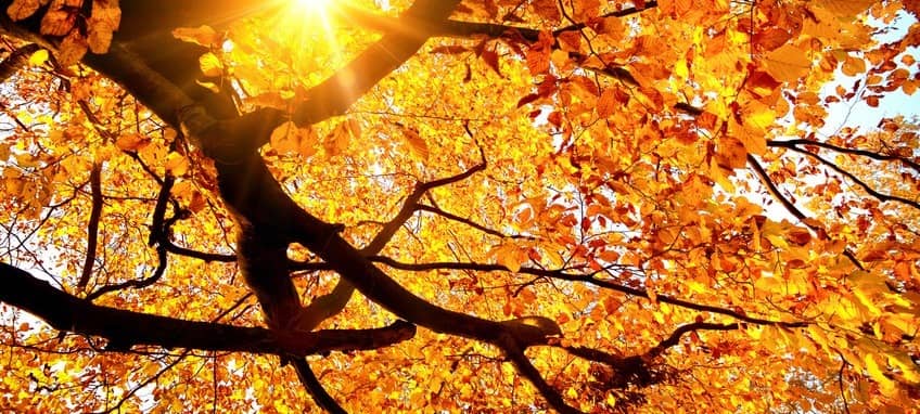 Herbstferien in und um Bochum - Das ist los!
