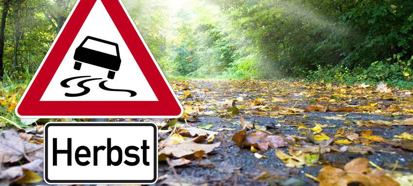 USB stellt Laubkörbe auf