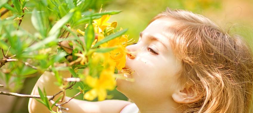 Diese Apps bringen Klarheit bei Heuschnupfen