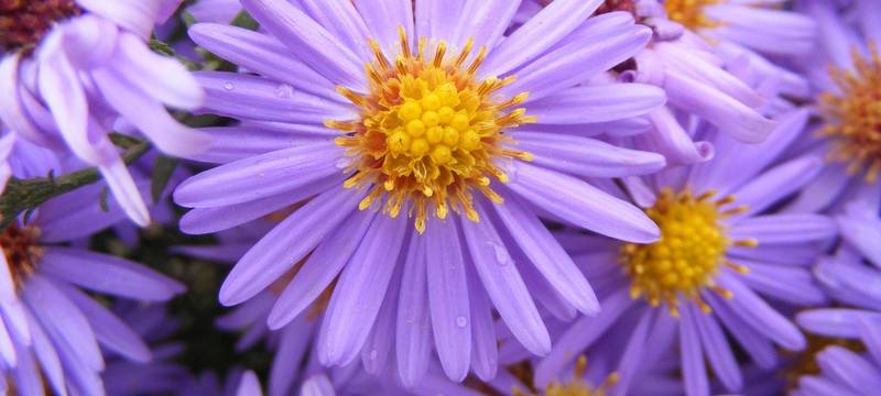 Bochumer Projekt für Engagementpreis nominiert