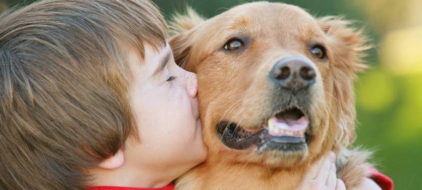 Stadt Bochum nimmt mehr Hundesteuer ein