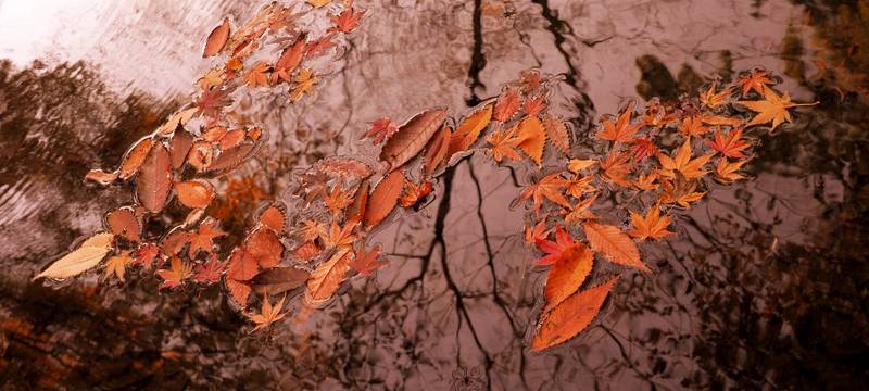 Gesundheitsamt Bochum über Corona in der Erkältungszeit
