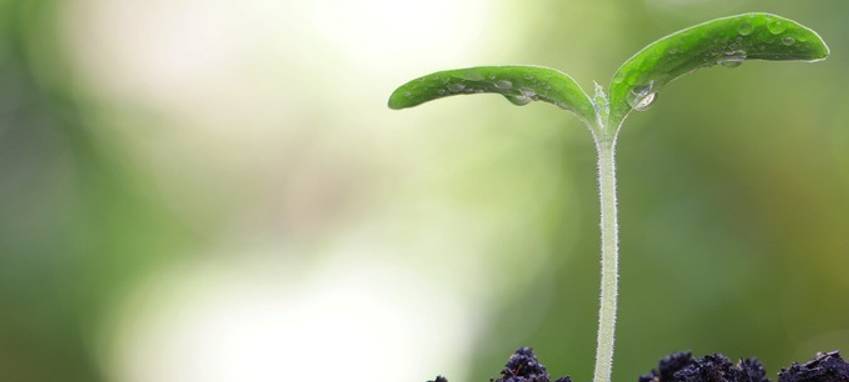 Nachhaltigkeitswochen in Bochum
