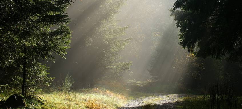 Verbesserungen beim ÖPNV