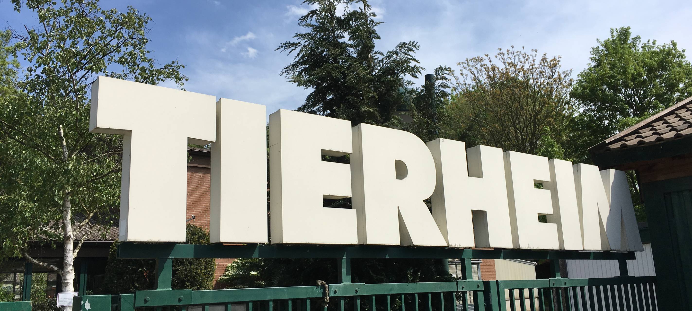 Tierheim Bochum weiterhin voll - wir wollen vermitteln!