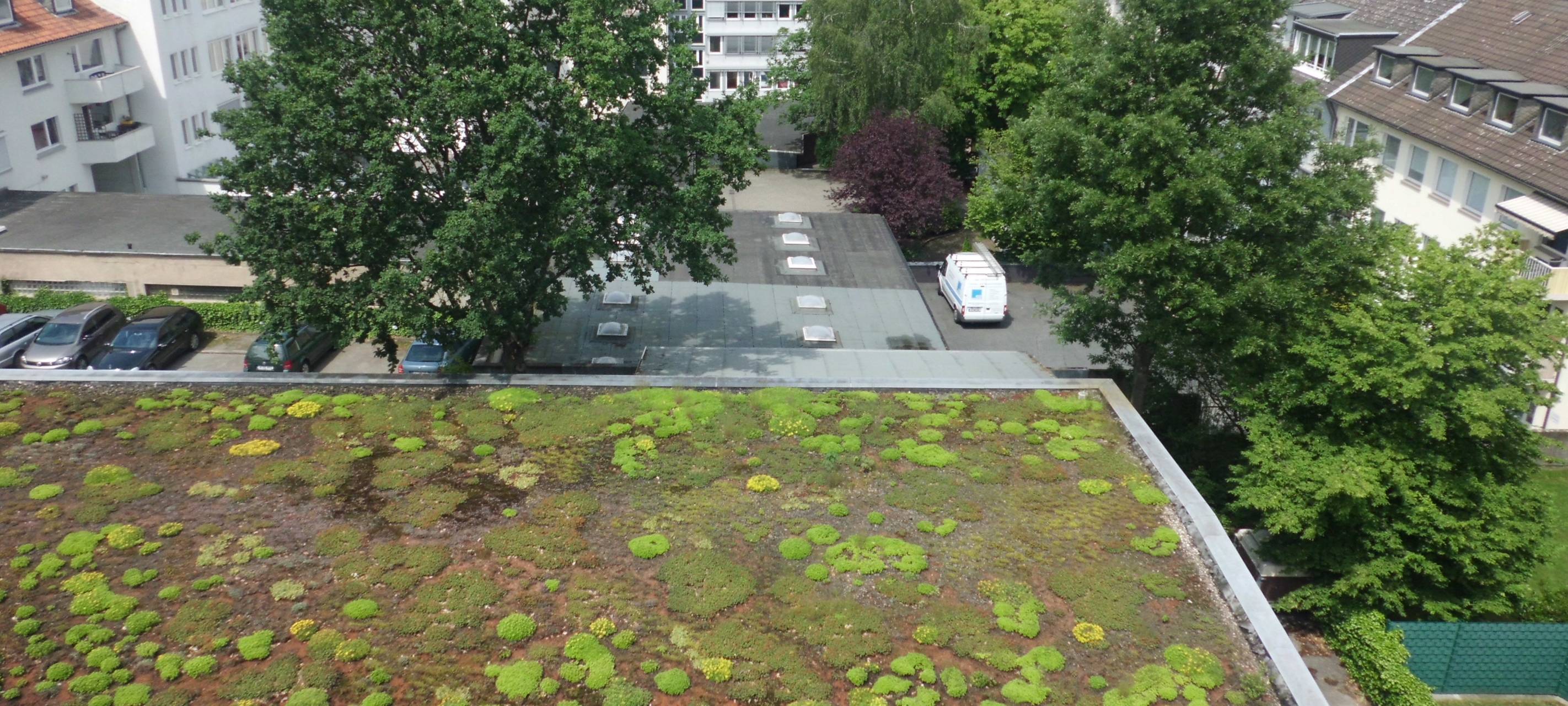 Metropole Ruhr und Bochum im  H2-Klimaschutznetzwerk