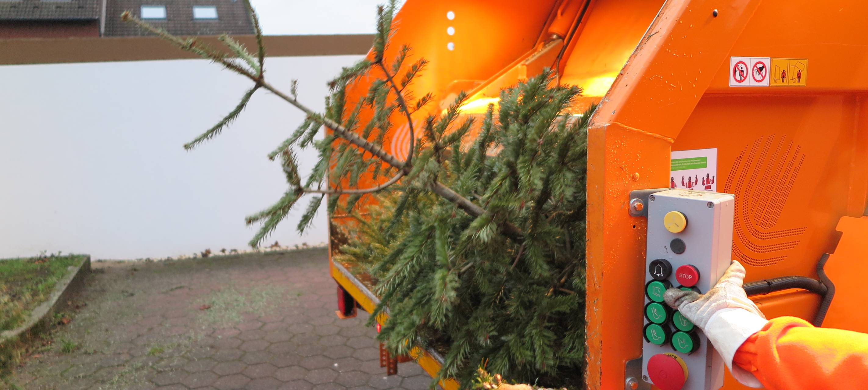 Weihnachtsbaumabholung USB