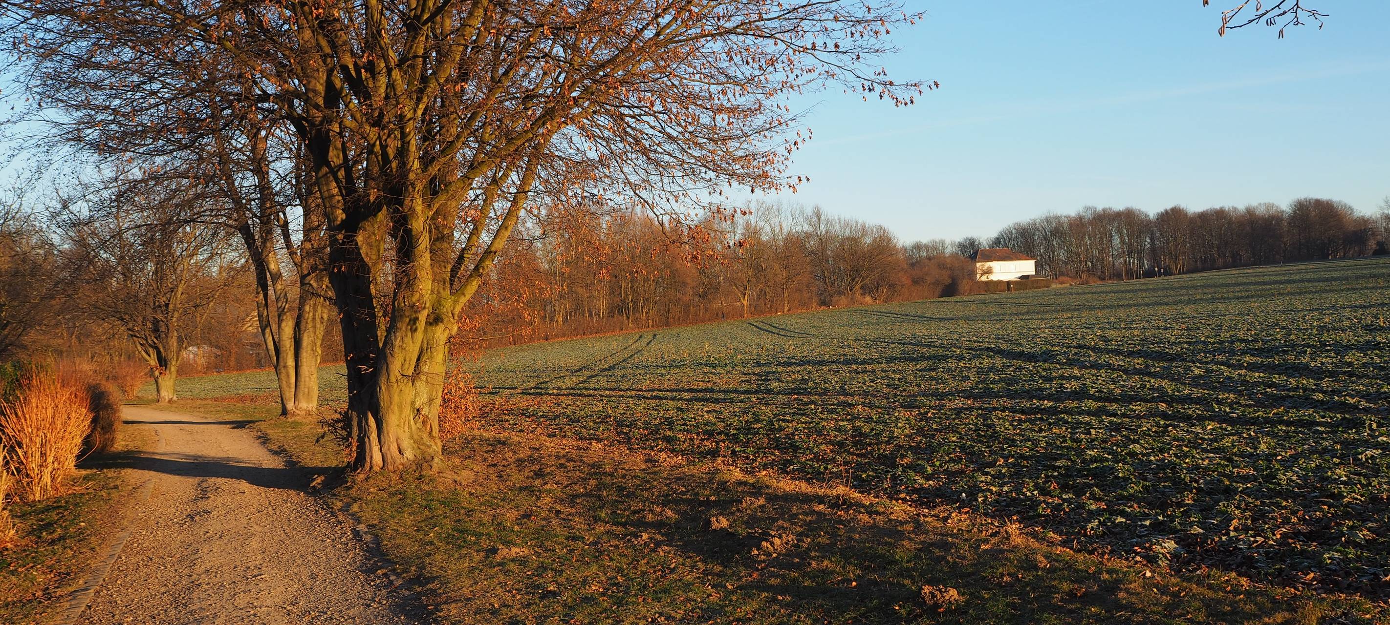 Onlineumfrage zu Naherholungsgebieten in Bochum