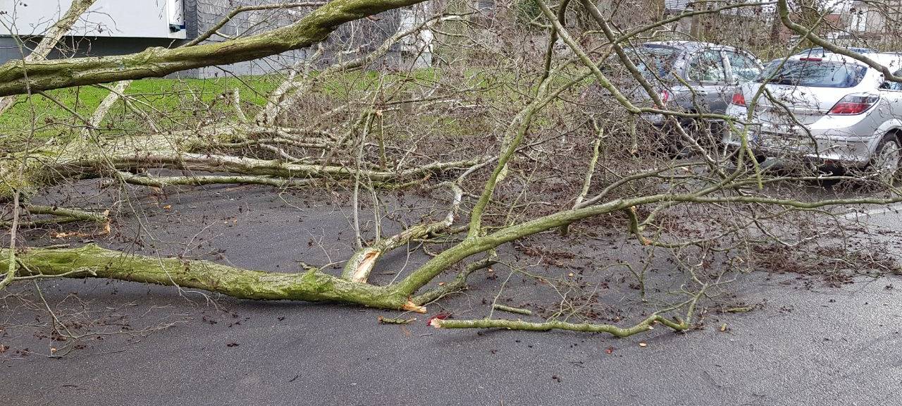 Bochum: Bilanz zu Orkantief Zeynep