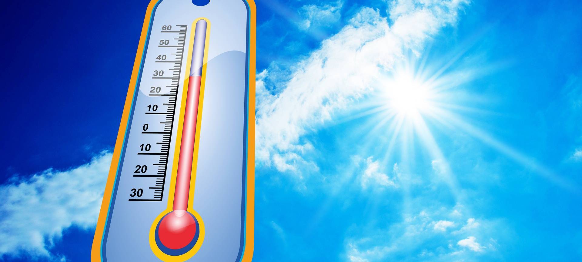 Pflanzen und Bäume in Bochum für Hitze gerüstet