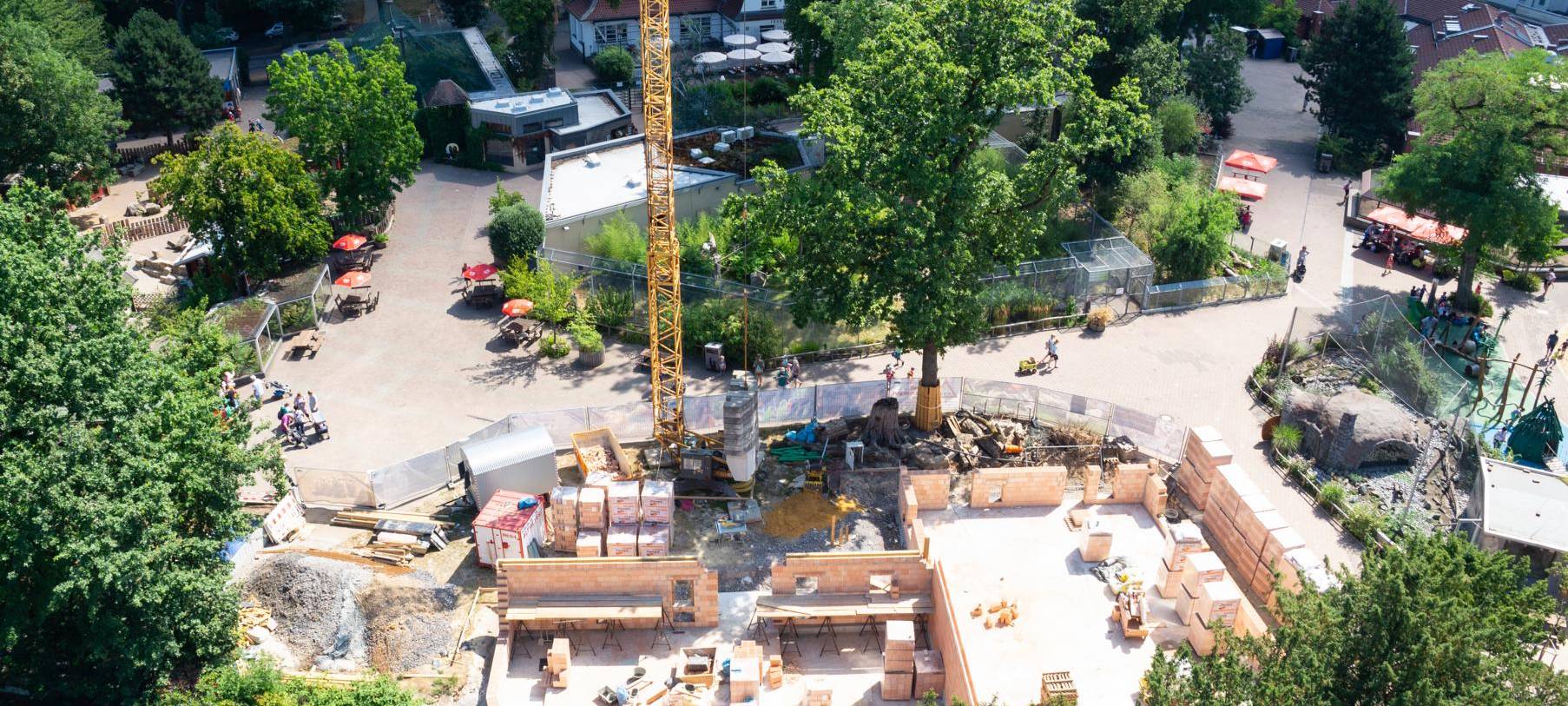 Neue Asienwelt im Tierpark