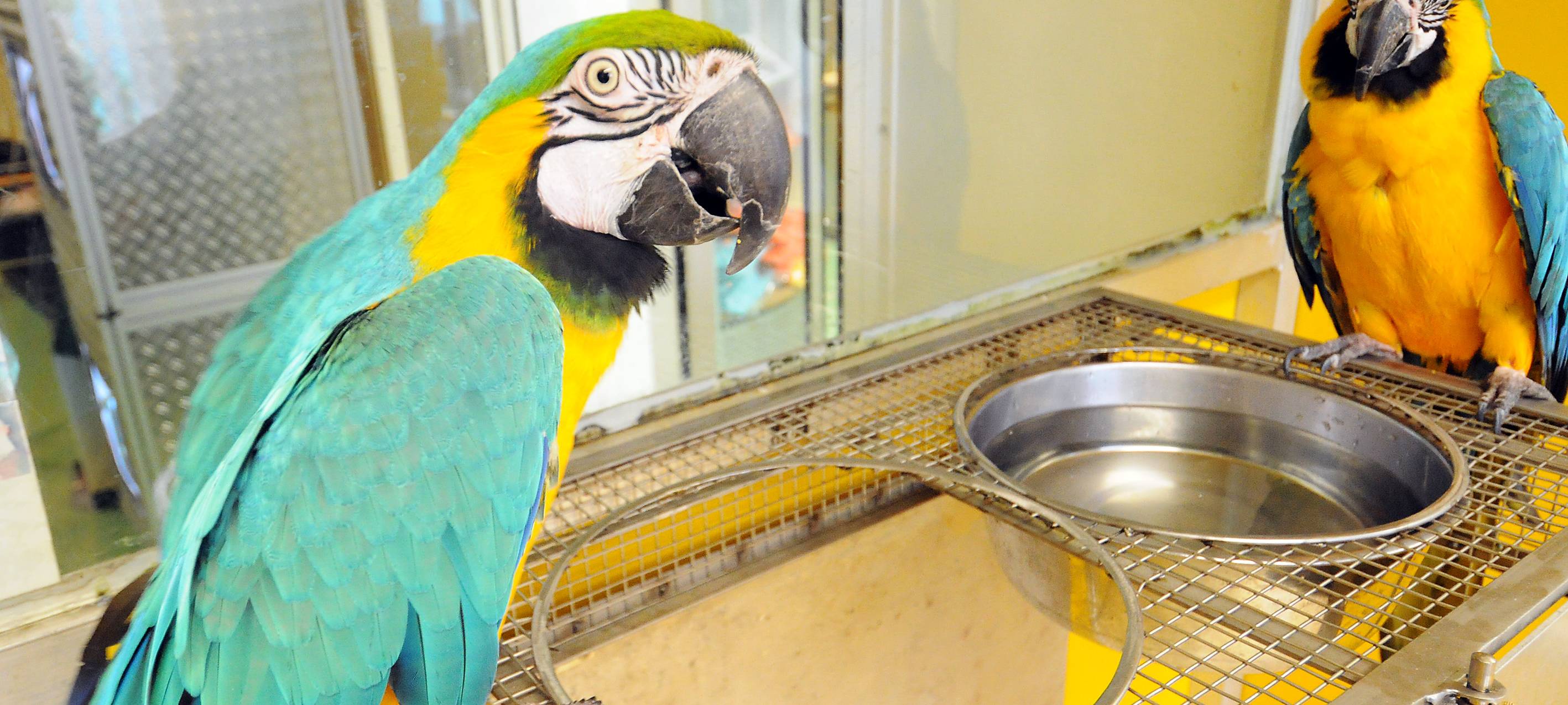 Papageienpark Bochum