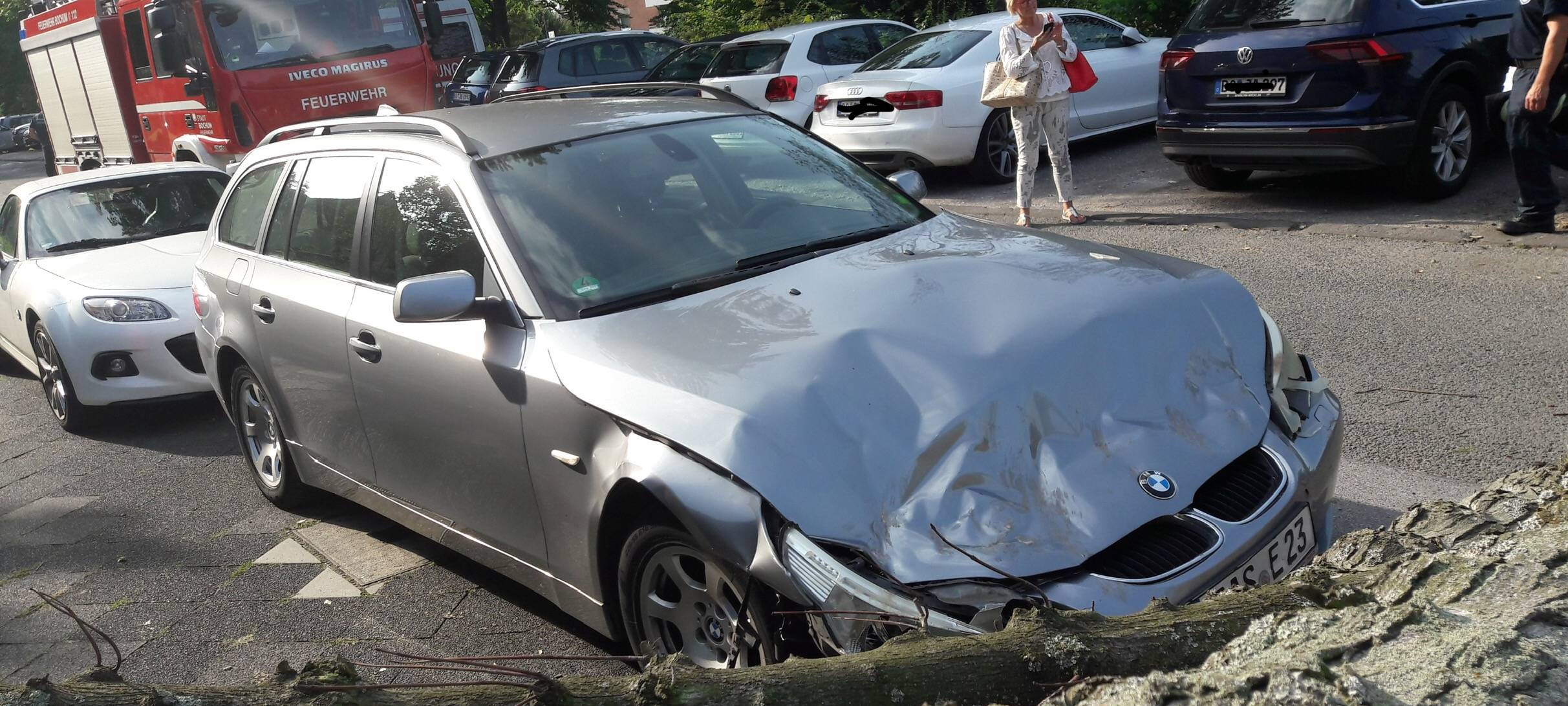 Umgestürzter Baum BMW