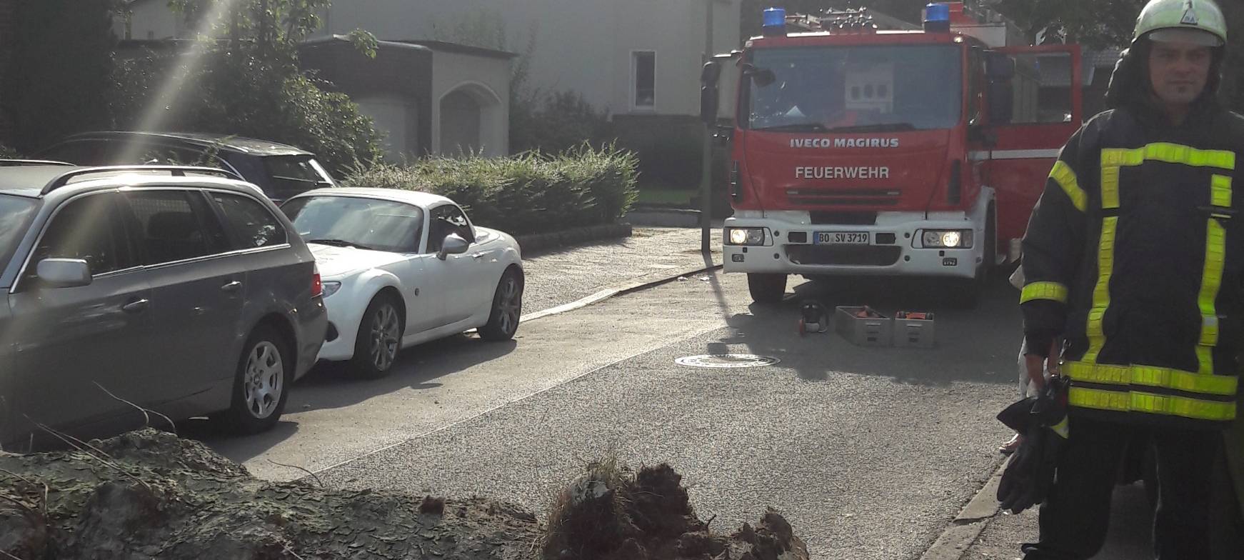 Umgestürzter Baum BMW