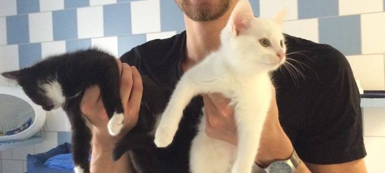 Felix und das Freitagsfrühstück