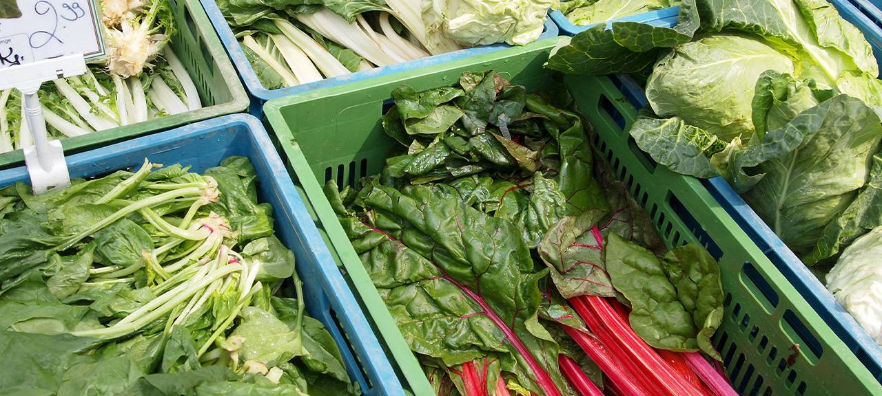 Erster Feierabendmarkt in Bochum-Linden