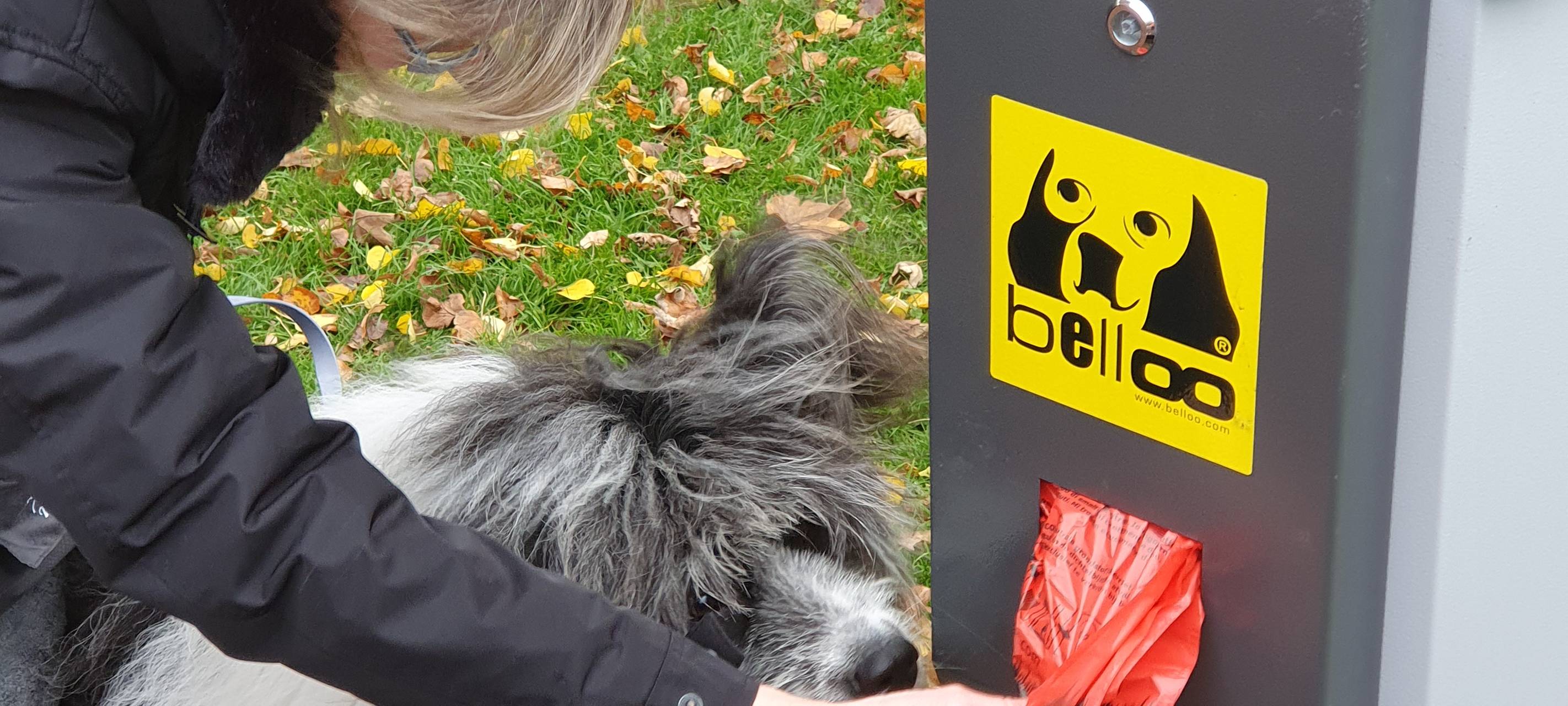 Hundekotbeutelspender