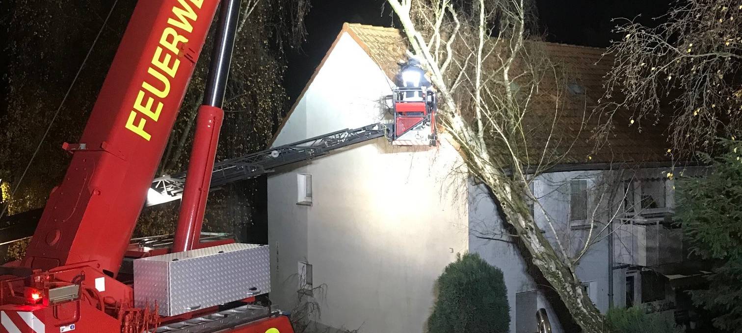 Baum kippt auf Mehrfamilienhaus