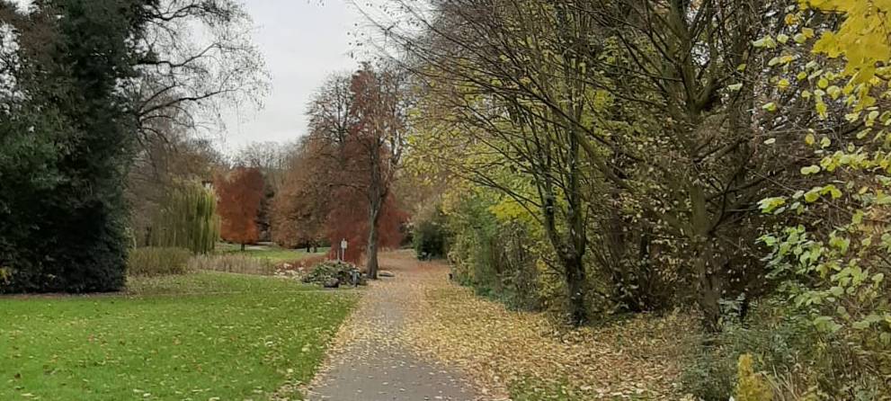 Bochum: Park in Hamme bekommt neues Leben