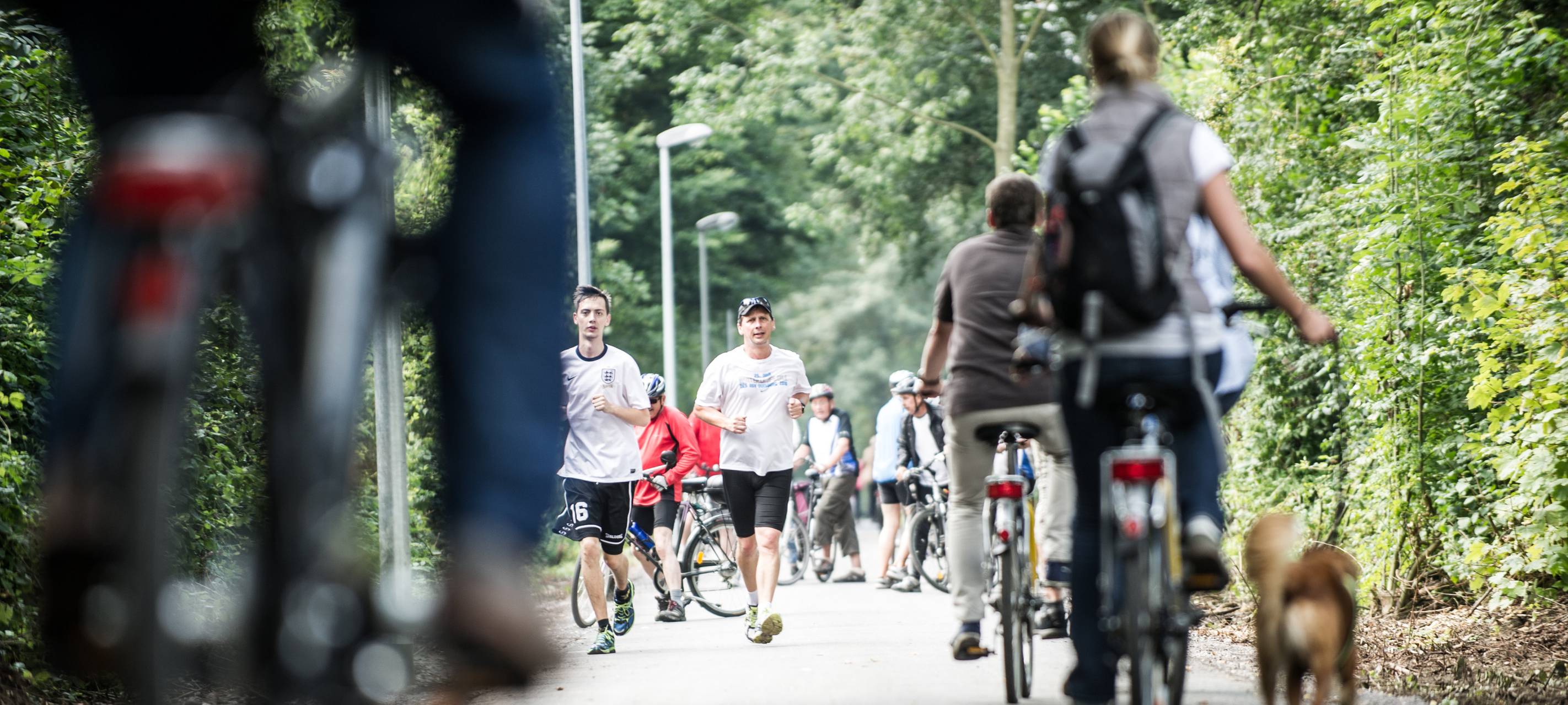 Reinigung und Winterdienst auf Radwegen beschlossen