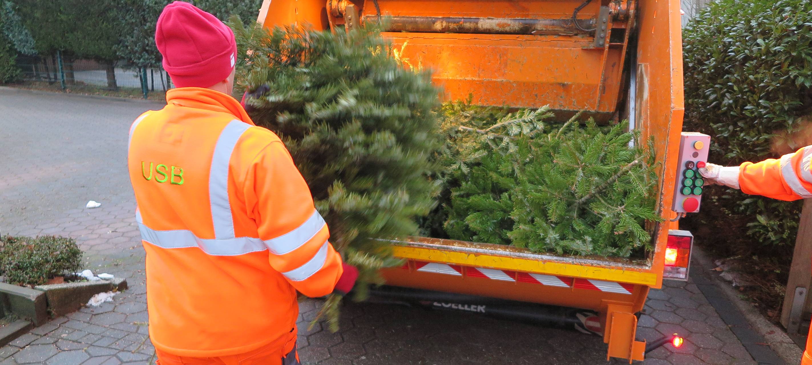 Bochum: So werdet ihr jetzt den Baum los
