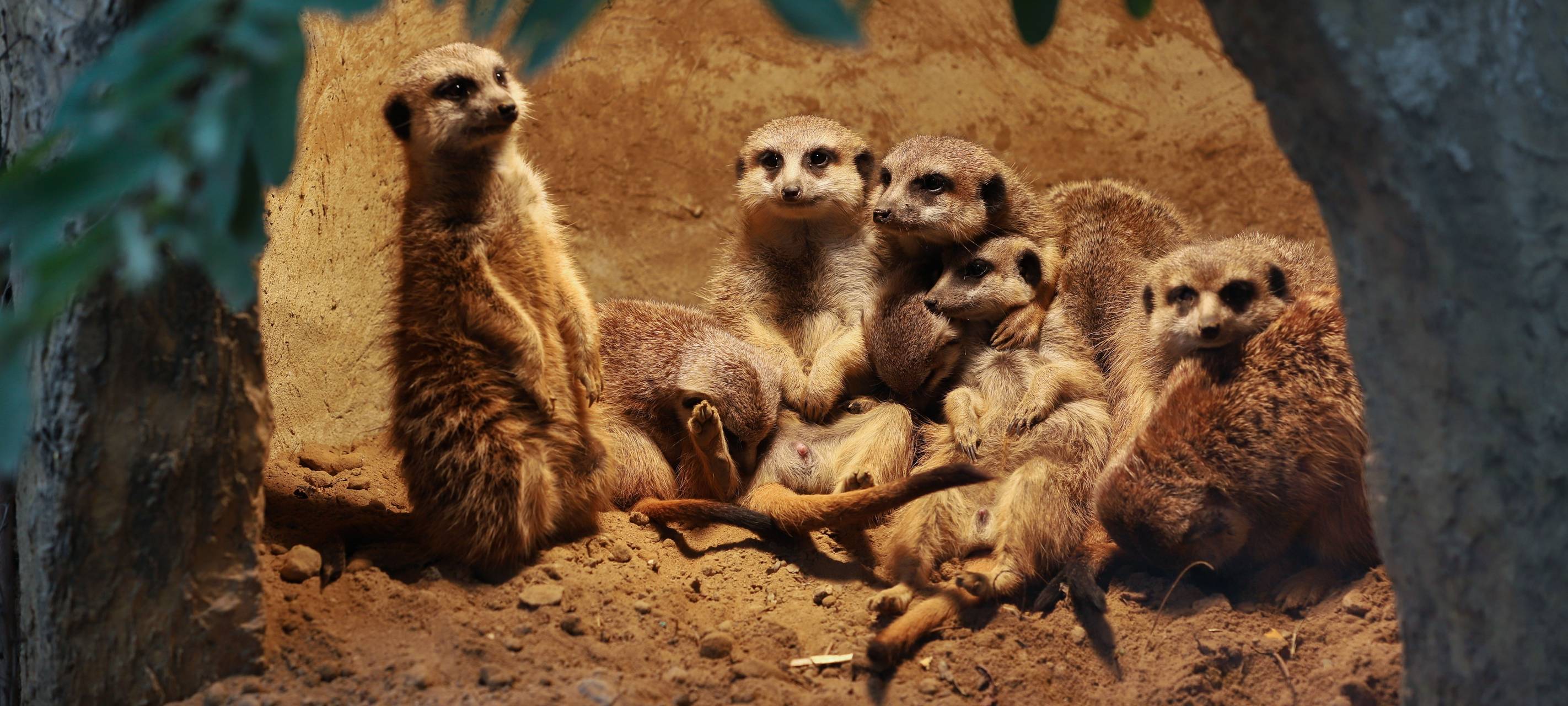 Tierpark Bochum: Finanzielle Absicherung trotz Corona