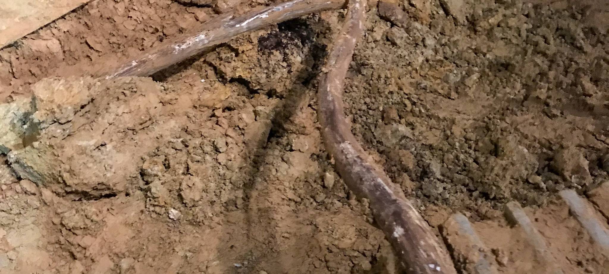 Keine Bombe auf dem Gerichtsgelände