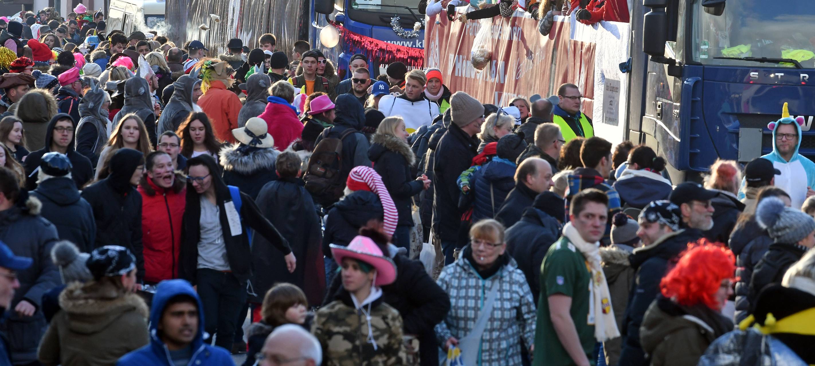 Rosenmontags- und Gänsereiterumzug Sevinghausen / Höntrop