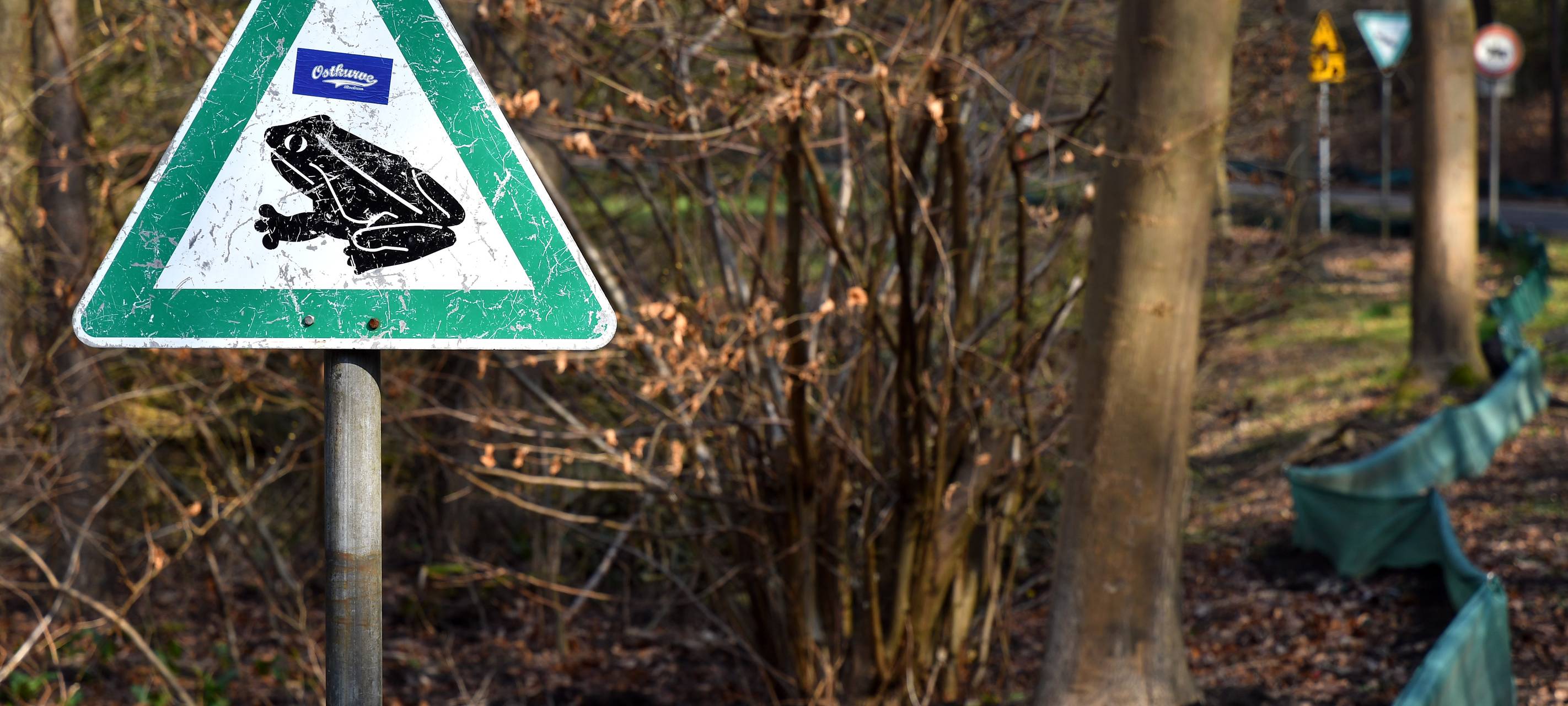 Alljährliche Krötenwanderung steht uns bevor