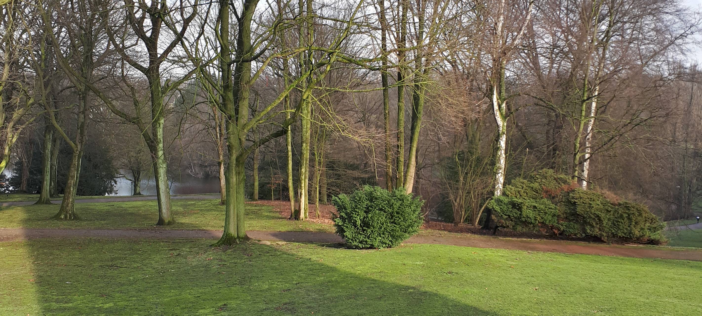 Der Stadtpark bei sonnigem Frühlingswetter