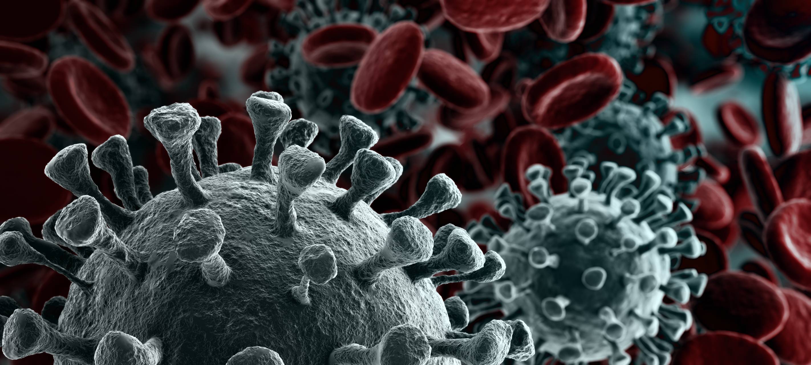 Corona Virus 3D Model