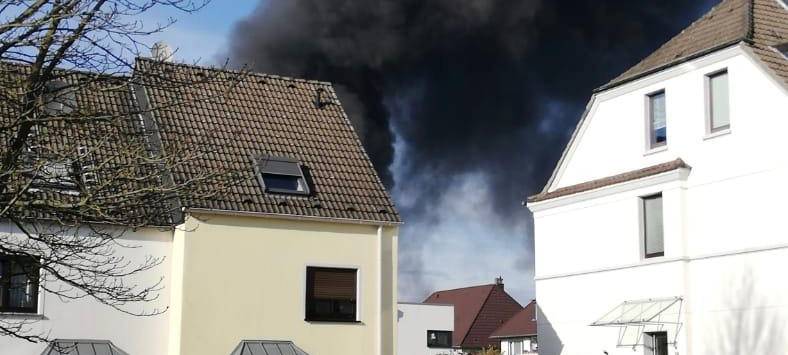 Schweinemast abgebrannt