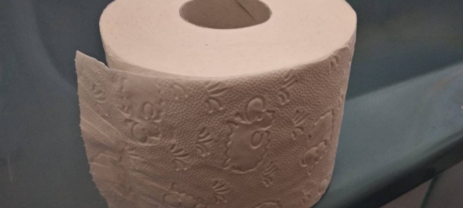 Toilettenpapierrolle