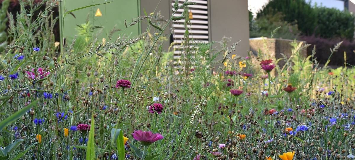 Neue Versorgungsleitungen in Bochum-Langendreer