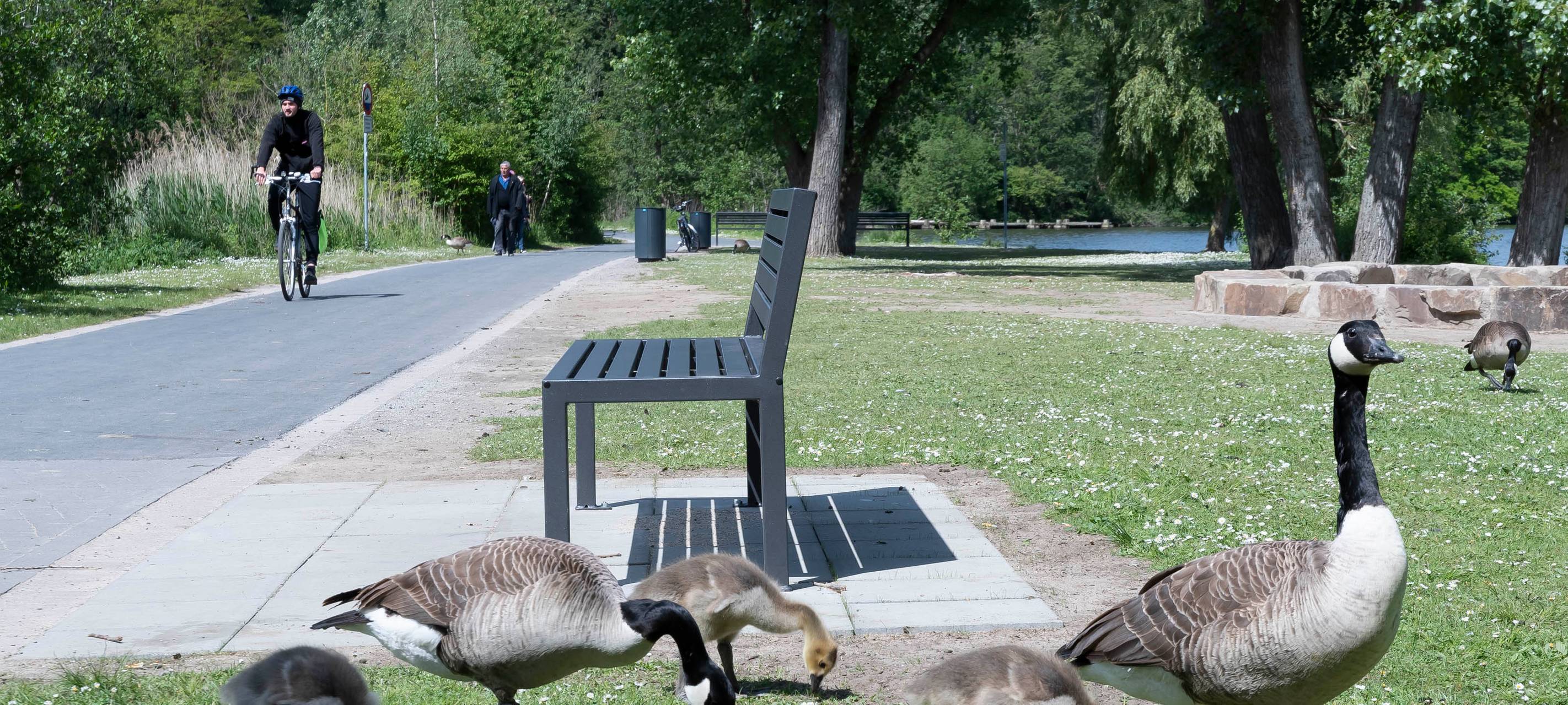 Wegessanierung Ümminger See