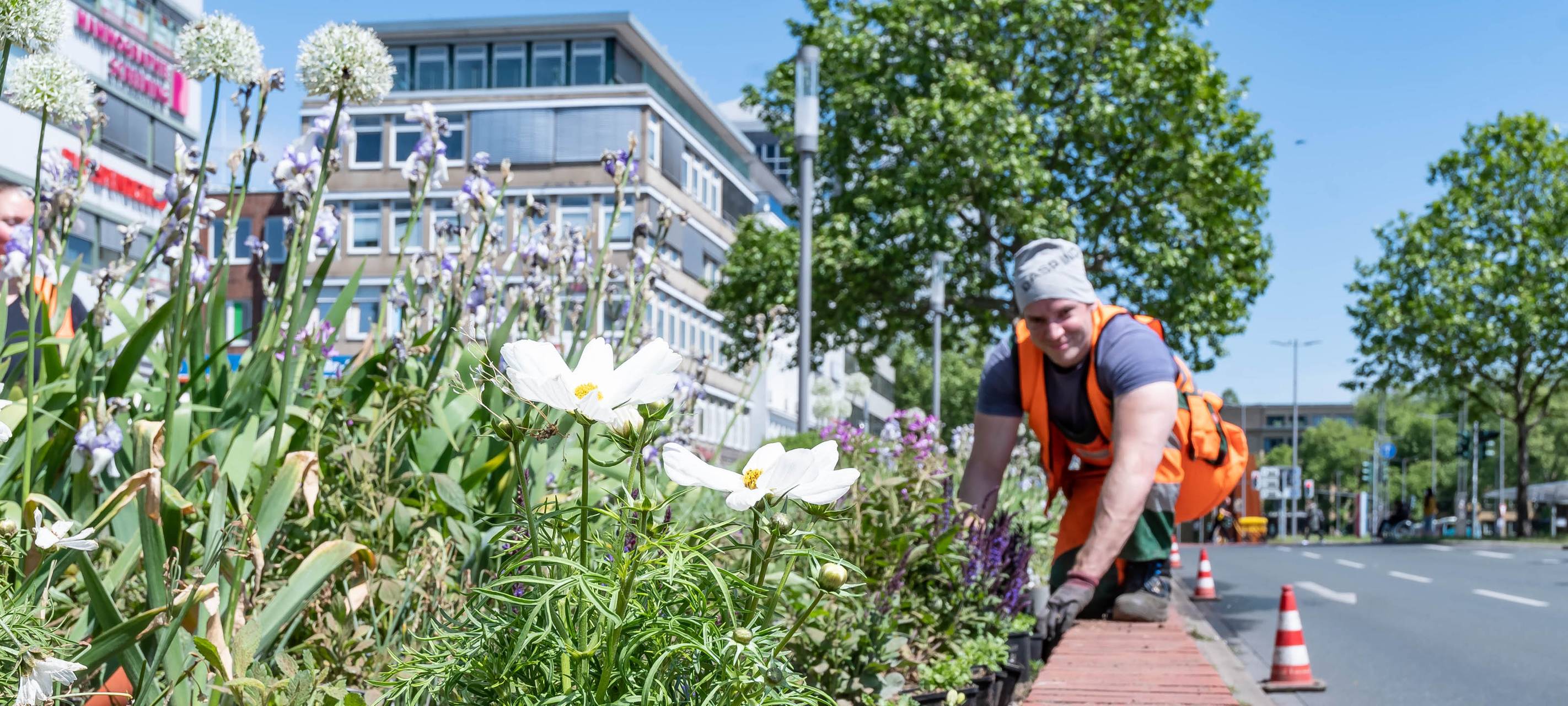 Blumen für die City