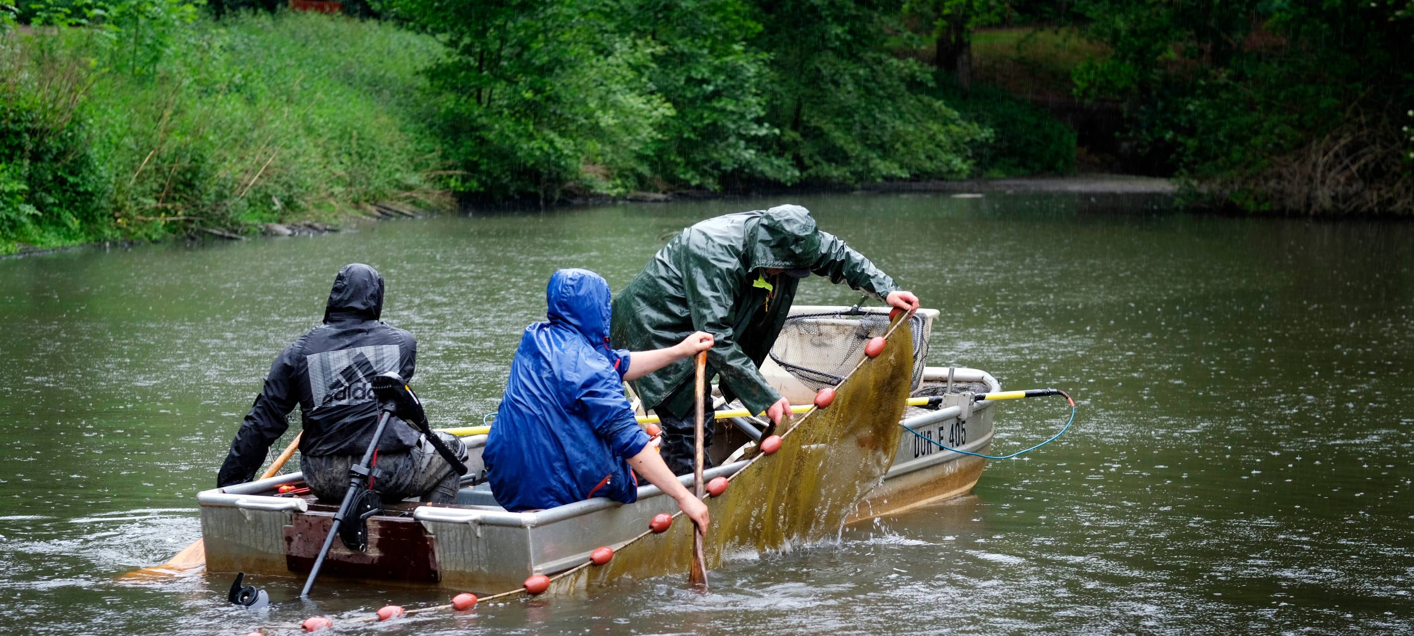 Bockholt-Teich soll belüftet werden