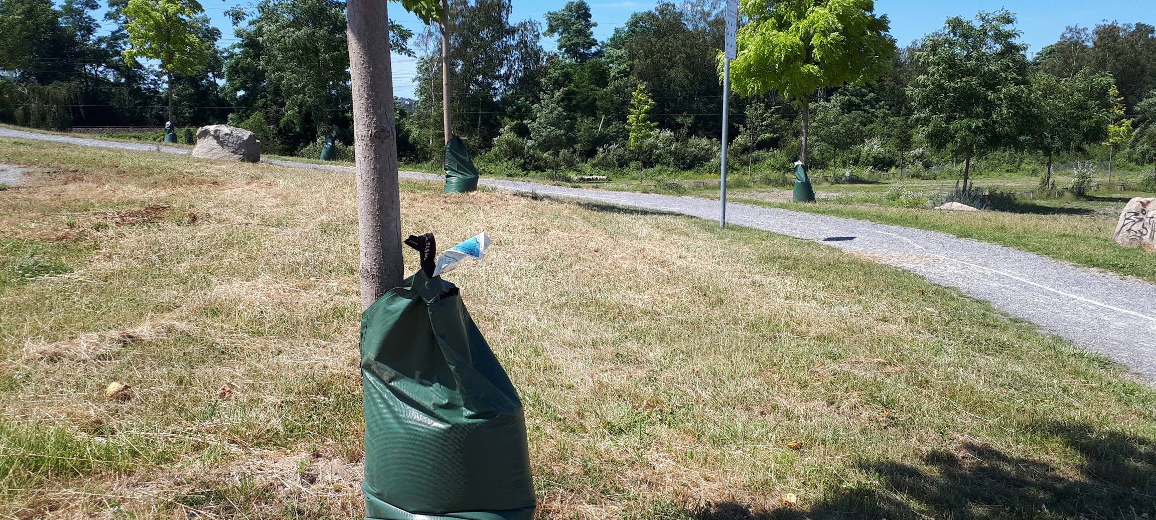 tree bag in Dahlhausen