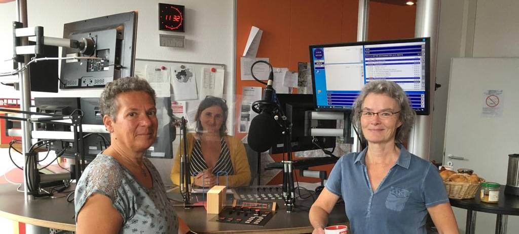 ... Frauen, die erzählen, wie wir uns einbringen können